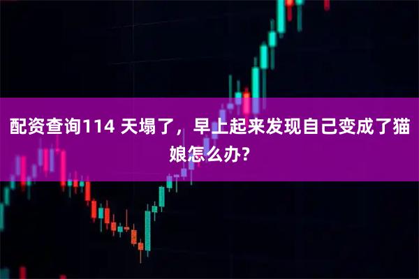 配资查询114 天塌了，早上起来发现自己变成了猫娘怎么办?